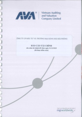 BÁO CÁO TÀI CHÍNH NĂM 2025